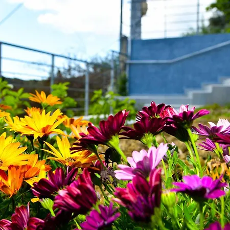 アパート View Kouspádhes